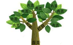 哪种网站结构更适合SEO优化