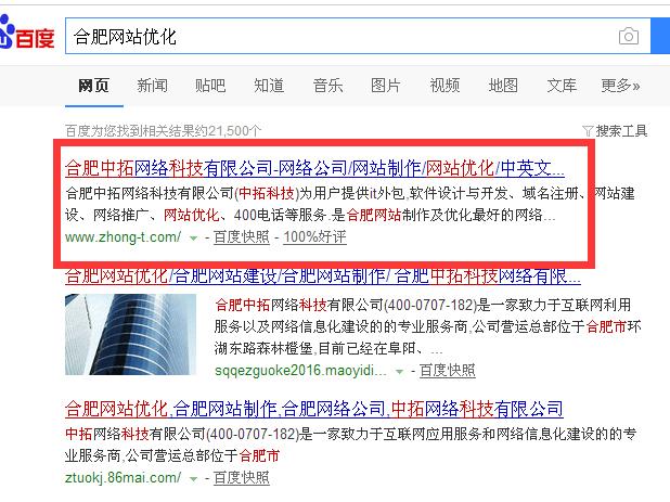 合肥网站优化中拓科技网站着陆页